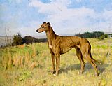Champion Greyhound Dee Rock by Arthur Wardle